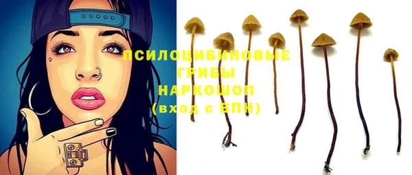 ECSTASY Алексеевка