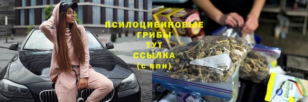 ECSTASY Алексеевка