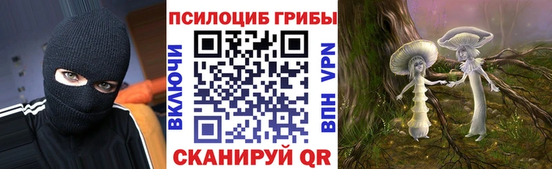 где купить наркоту  Арсеньев  Галлюциногенные грибы мухоморы 