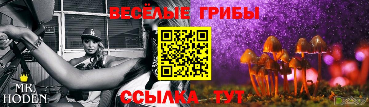 Арсеньев  Псилоцибиновые грибы Cubensis  Псилоцибиновые грибы Magic Shrooms  Вход с VPN 